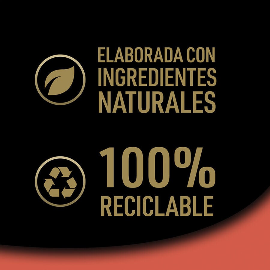 28 tarrinas x 150 g (20 + 8 tarrinas &iexcl;gratis!) Cesar Buey Tarrina en Pat&eacute; para Perros, , large indicador imagen numero 7